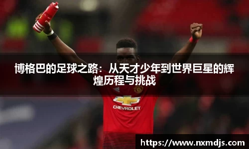 九游体育登录入口